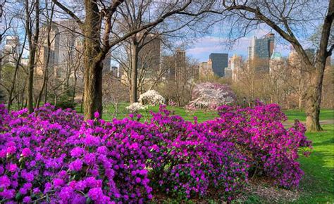 Explora Central Park en Nueva York en todas las estaciones - El blog de New York Habitat