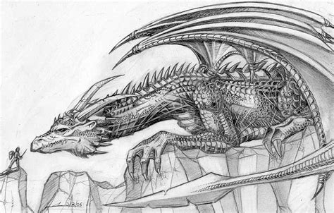 Cool Dragon Sketches at PaintingValley.com | Explore collection of Cool ...