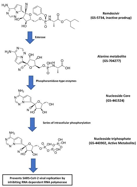 ADME and Pharmacokinetic Properties of Remdesivir: Its Drug Interaction ...