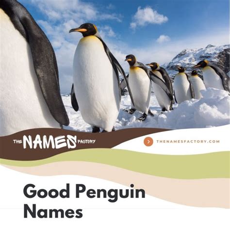 310+ Most Popular Penguin Names Ideas