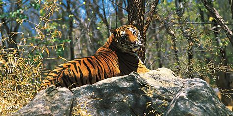 Best Wildlife Sanctuaries in Kerala - Experience Kerala