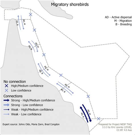 Migratory shorebirds | eAtlas