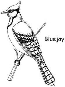 Blue Jay Coloring Pages