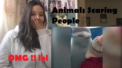 Animals Scaring People _ REACTION - YouTube