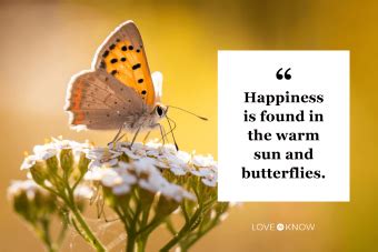 50 Beautiful Butterfly Quotes to Inspire You | LoveToKnow