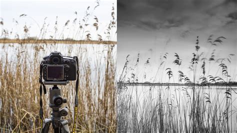 Landscape photography tips | Digital Camera World