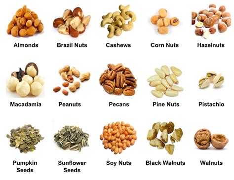 Nuts Vocabulary – Materials For Learning English