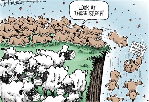 Editorial cartoon: Who are the real sheep in the face mask debate?