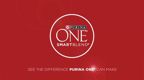 Purina ONE SmartBlend Vibrant Maturity Senior 7+ Formula Dog Food ...