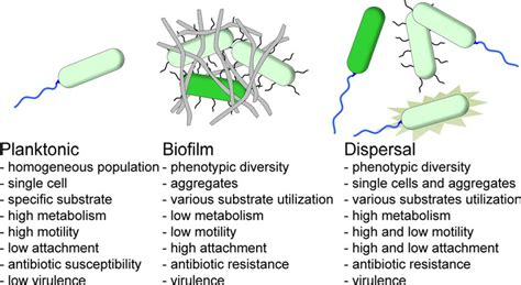 Planktonic Bacteria