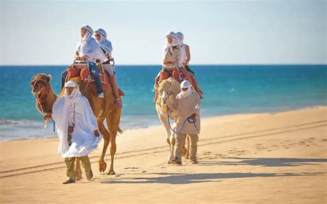 Outback & Camel Safari in Cabo San Lucas | BookCabo