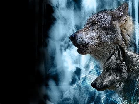 ~♥ Wolves ♥ ~ - Wolves Wallpaper (10291304) - Fanpop