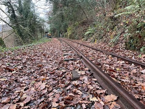 Morwellham Quay's abandoned Mine Train ride - Devon Live