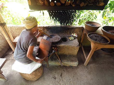 Kopi Luwak | Local Coffee (Beverage) From Indonesia, Southeast Asia