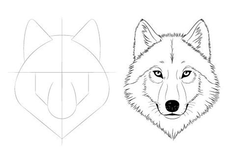 Pin by Rahelt on Inspiracje, DIY | Wolf face drawing, Wolf drawing easy ...