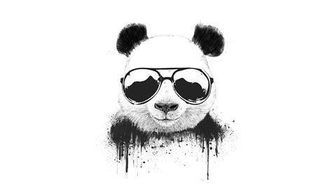 Cool Panda Wallpapers - Wallpaper Cave