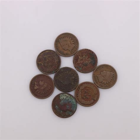 8 US Indian Head Pennies | Property Room