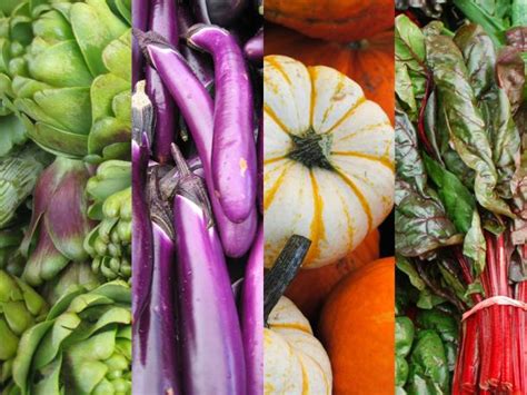 Seasonality Chart: Vegetables | CUESA