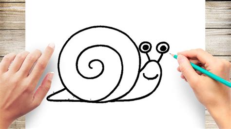 How to Draw Simple Snail Step by Step - YouTube