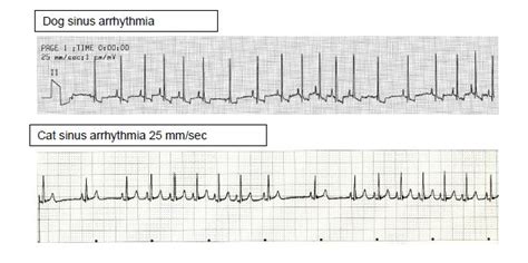 Faculty Syllabus: Electrocardiography Advanced Concepts - CardioRush