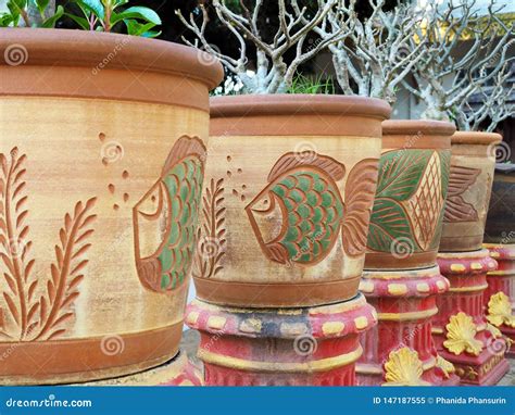 Decorative Clay Plant Pots in the Park Stock Image - Image of clay, city: 147187555