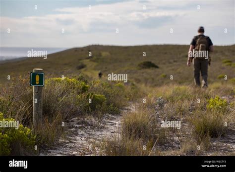 Agulhas National Park protects fynbos habitat and offers hiking trails and beach combing near ...