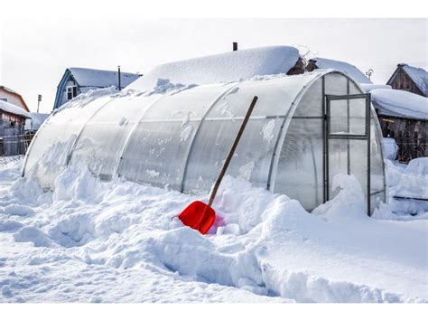 Winter Greenhouse: A Gardener's Paradise All Year Round - My Green house tips