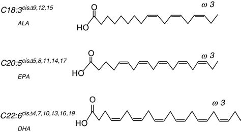 Chemical Structure of Omega Fatty Acids. | Download Scientific Diagram