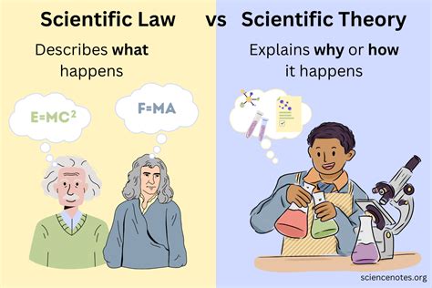 Scientific Law Definition and Examples