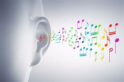 Vocal Training with Ear and Pitch Exercises | My Voice Exercises.com