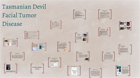 Tasmanian Devil Facial Tumor Disease by Grace An