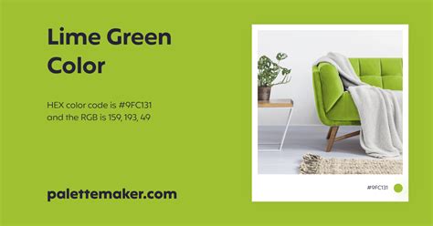 Lime Green Color - HEX #9FC131 Meaning and Live Previews - PaletteMaker