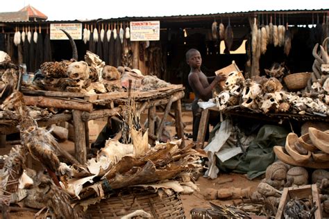 Akodessewa market in Lomé, Togo. From skulls to amulets, or just some voodoo stuff, you'll find ...