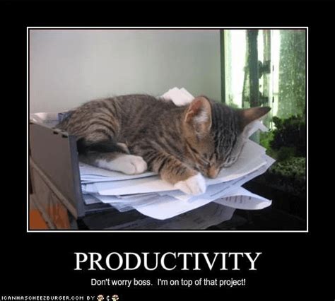 Productivity Memes - 60 Funniest Memes to Make Your Monday Suck Less