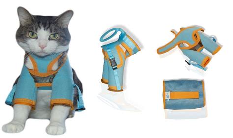 CAT RESTRAINT HARNESS | Cat care, Kitty, Cat behavior