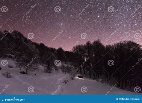 Star Sky and Dark Forest in the Mountain Stock Image - Image of winter, night: 90476893