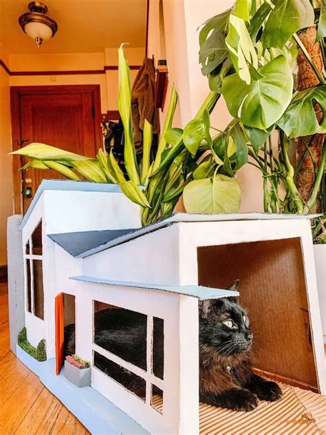 18 DIY Cardboard Cat House Ideas - Susie Harris