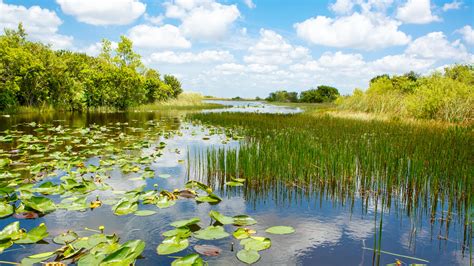 Everglades National Park | | Attractions - Lonely Planet