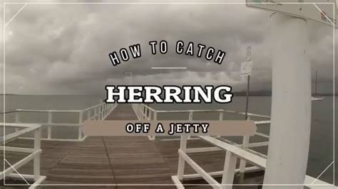 HERRING FISHING - How to Catch herring for bait ( part 2 ) - YouTube