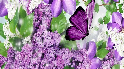 Lavender And Butterflies Wallpapers - Wallpaper Cave