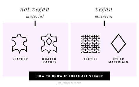 How to Know if Shoes are Vegan? A Quick & Easy Guide!