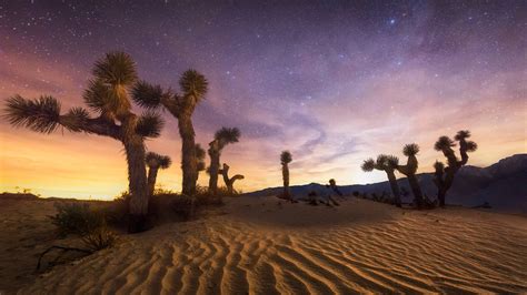 Bing image: Joshua Tree National Park, California, USA - Bing Wallpaper ...