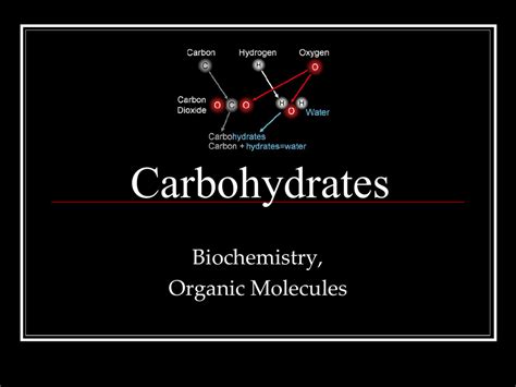 Carbohydrates Biochemistry, Organic Molecules