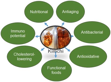 Kimchi: its probiotic benefits and the recipe | My Gut Matters