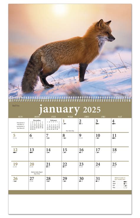 2025 North American Wildlife Calendar (1801) | 11" X 19" Imprinted ...