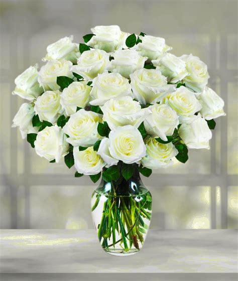 Two Dozen White Rose Bouquet | Avas Flowers