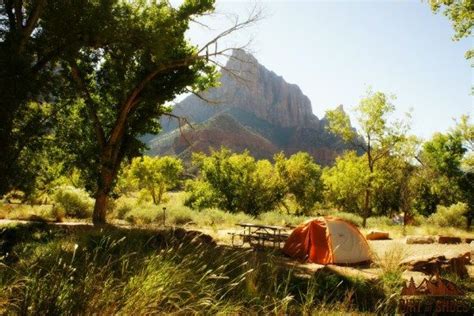 All About Camping in Zion National Park | Zion national park, National parks, Camping places