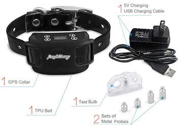 7 Best Wireless Dog Fence & Reviews [2020 Updated] - Pet Life World