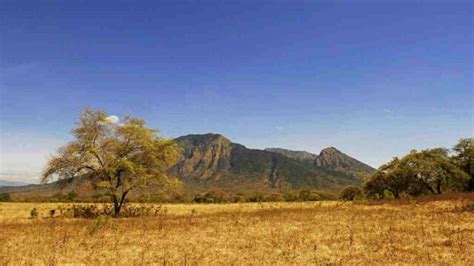 Baluran National Park Top Activities & Entrance Fee - IdeTrips