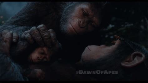 Cornelia/Relationships | Planet of the Apes Wiki | Fandom